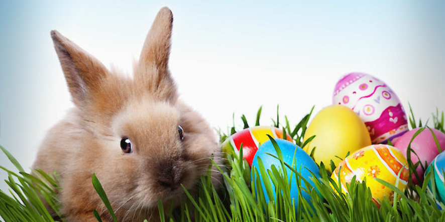 Osteraktion auf den Rüsselsheimer Wochenmärkten 2026