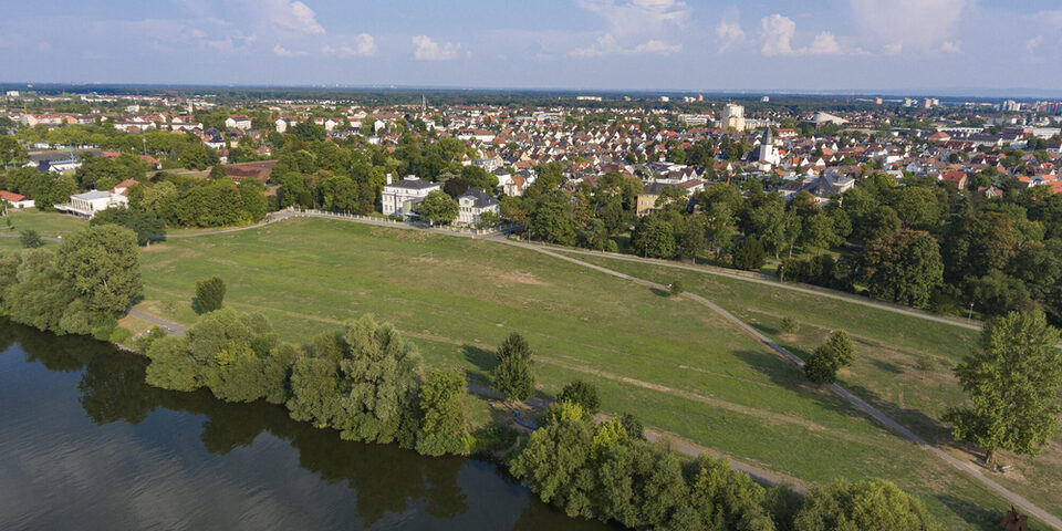 Mainvorland