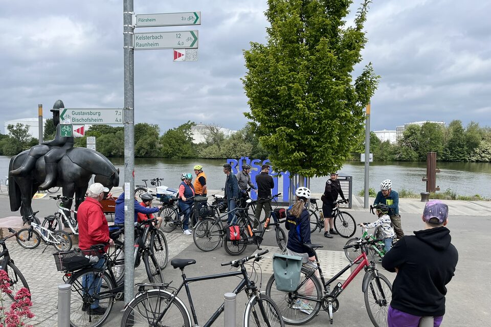 Fahrradfahrer sammeln sich am Mainvorland für die Auftaktfahrradtour.