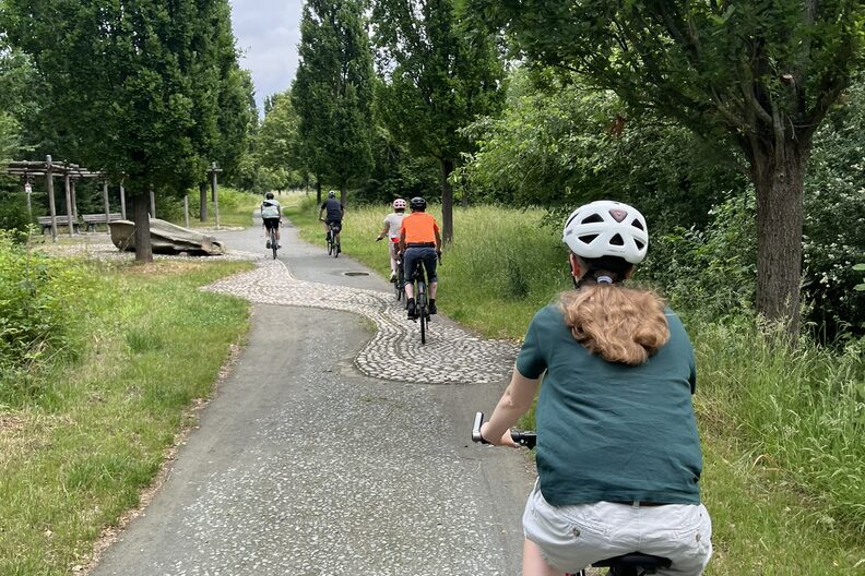 Fahrradfahrer fahren an einer Baumallee entlang.
