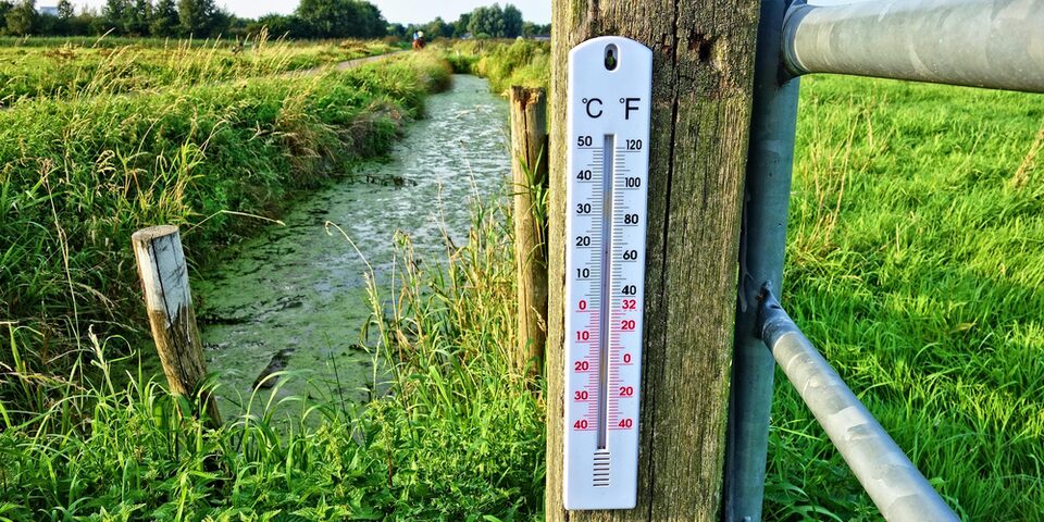 Thermometer hängt an einem Holzbalken. Im Hintergrund ein Bachlauf und grüne Wiesen.