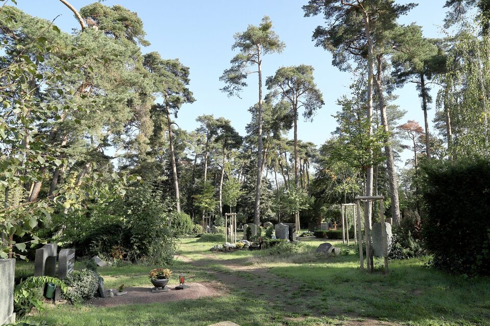 Der Waldfriedhof mit Bäumen, Gräbern und einem Weg.