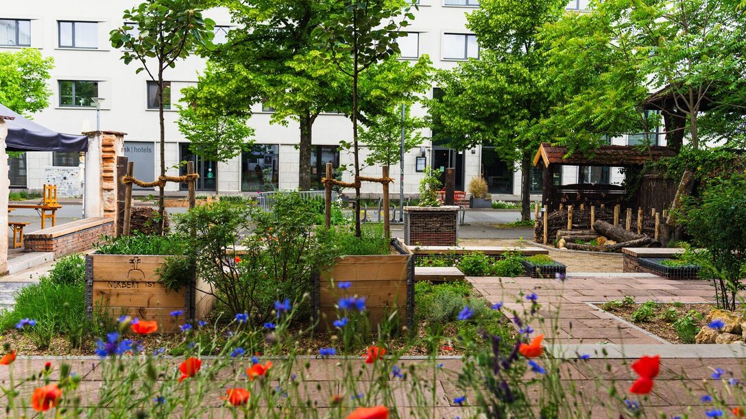 Mohn- und Kornblumen im Vordergrund, im Hintergrund Beete mit Pflanzen und Bäumen.