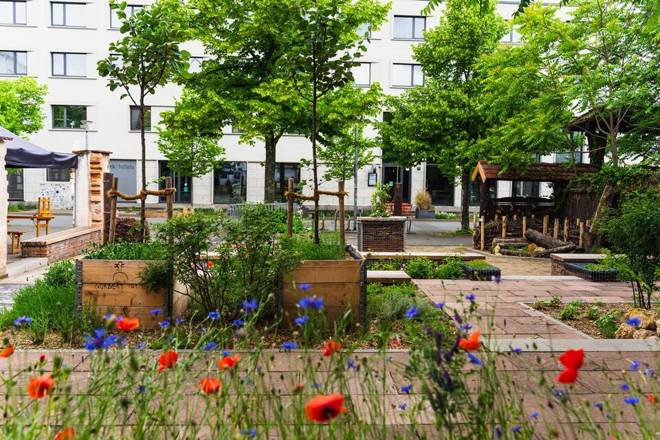 Mohn- und Kornblumen im Vordergrund, im Hintergrund Beete mit Pflanzen und Bäumen.