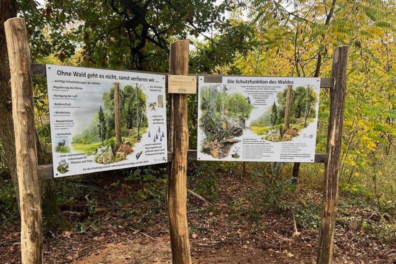 Infotafeln informieren mit Fotos und Text über den Wald