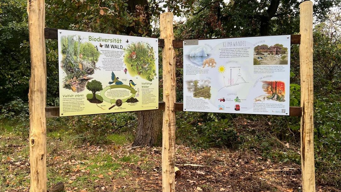 Infotafeln informieren mit Fotos und Text über den Wald