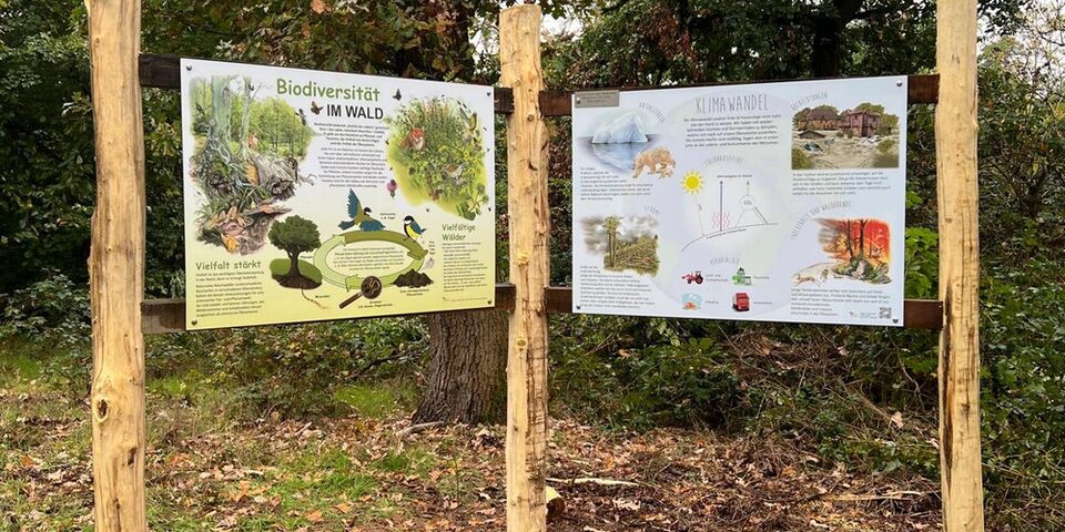 Infotafeln informieren mit Fotos und Text über den Wald