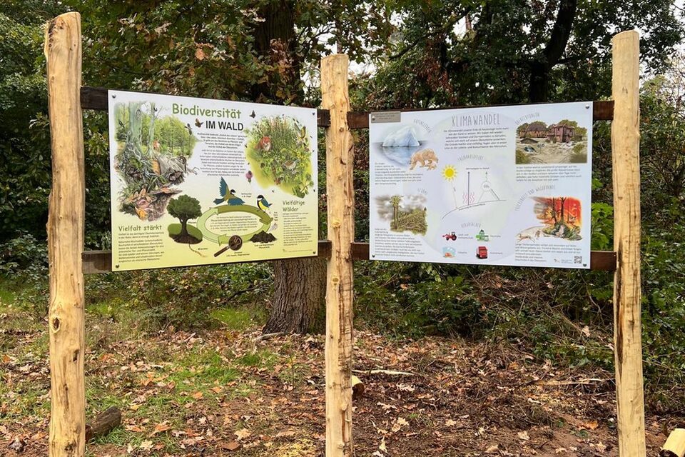 Infotafeln informieren mit Fotos und Text über den Wald