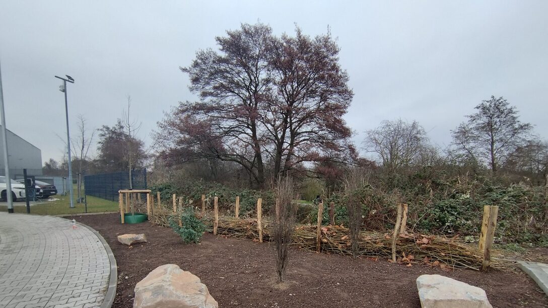 neue Benjeshecke in einem Seitenstreifen