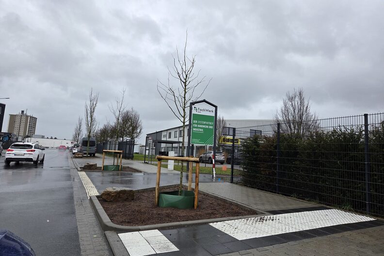 neu gepflanzte Bäume zwischen Auffahrten zu Unternehmen