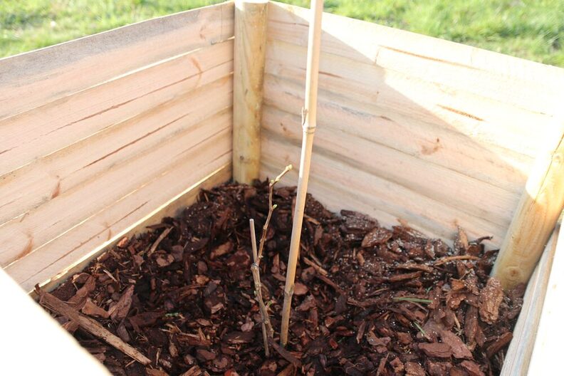 Kinder zweier Schulen stehen in einem Halbkreis und singen.