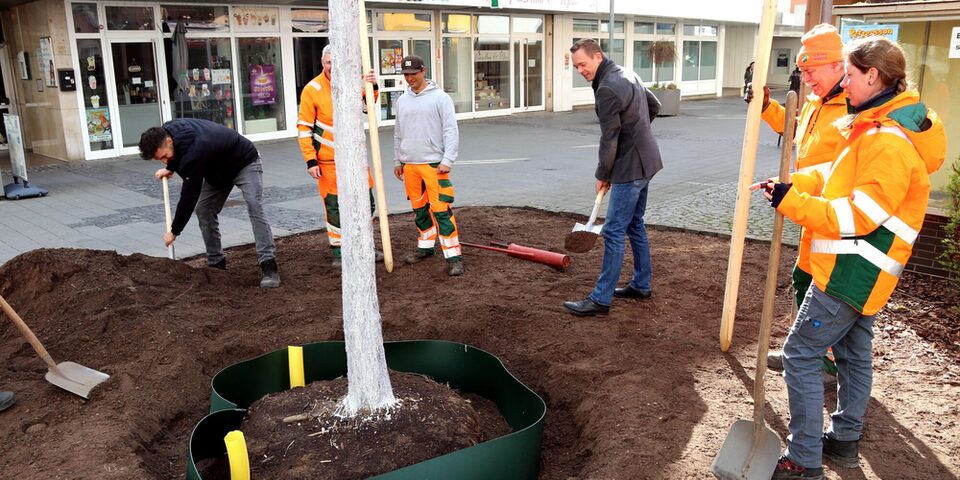 Stadtrat Valerius pflanzt zusammen mit Maximilian Henkelmann und dem Städteservice den Baum.