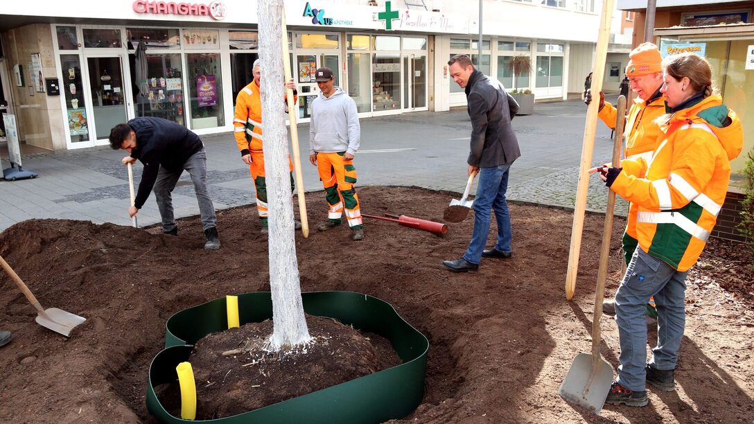 Stadtrat Valerius pflanzt zusammen mit Maximilian Henkelmann und dem Städteservice den Baum.