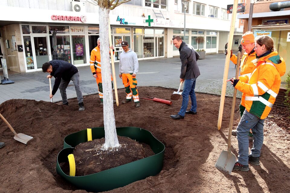 Stadtrat Valerius pflanzt zusammen mit Maximilian Henkelmann und dem Städteservice den Baum.