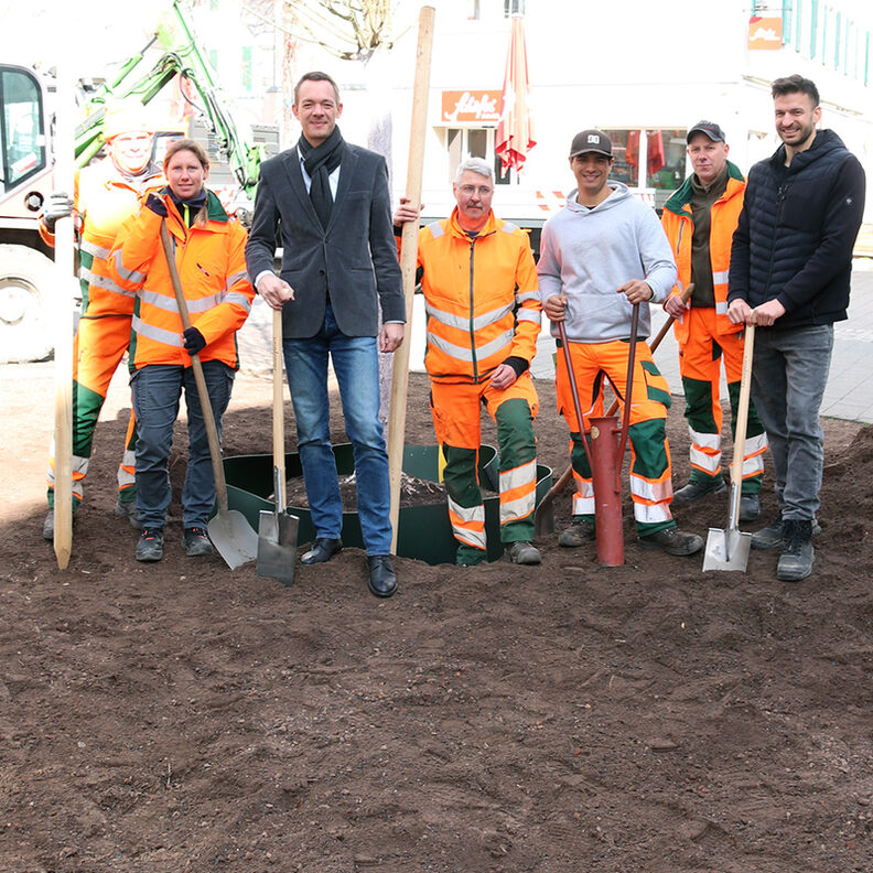 Mitarbeitende des Städteservice, Stadtrat Valerius und Maximilian Henkelmann von der Grünplanung stehen vor dem neuen Baum.