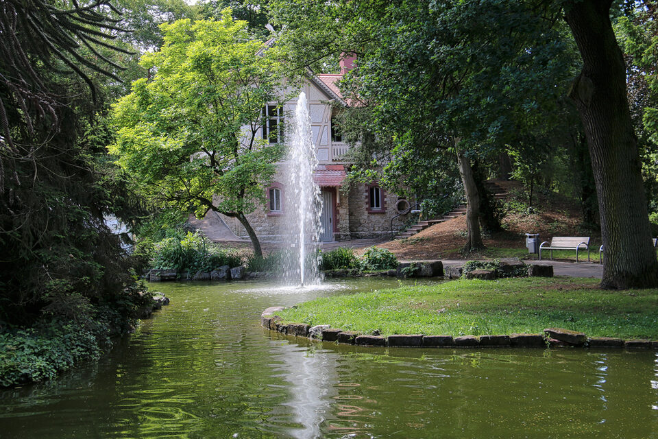 Das Foto zeigt die Alte Mühle im Verna Park