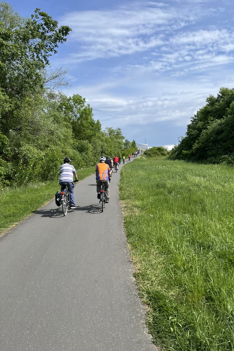 Gruppe fährt einen Radweg zwischen Wiesen und Bäumen entlang