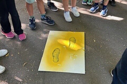 Eine Schülergruppe umkreist die Asphaltmarkierung Gelbe-Füße