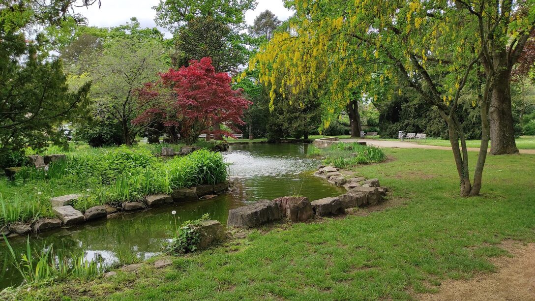 Pflanzen im Verna Park mit Teich im Vordergrund