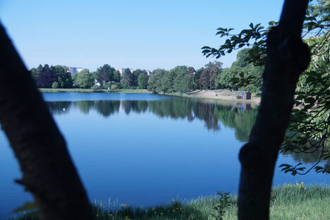 Foto: Blick vom Ufer auf den See und den Sandstrand