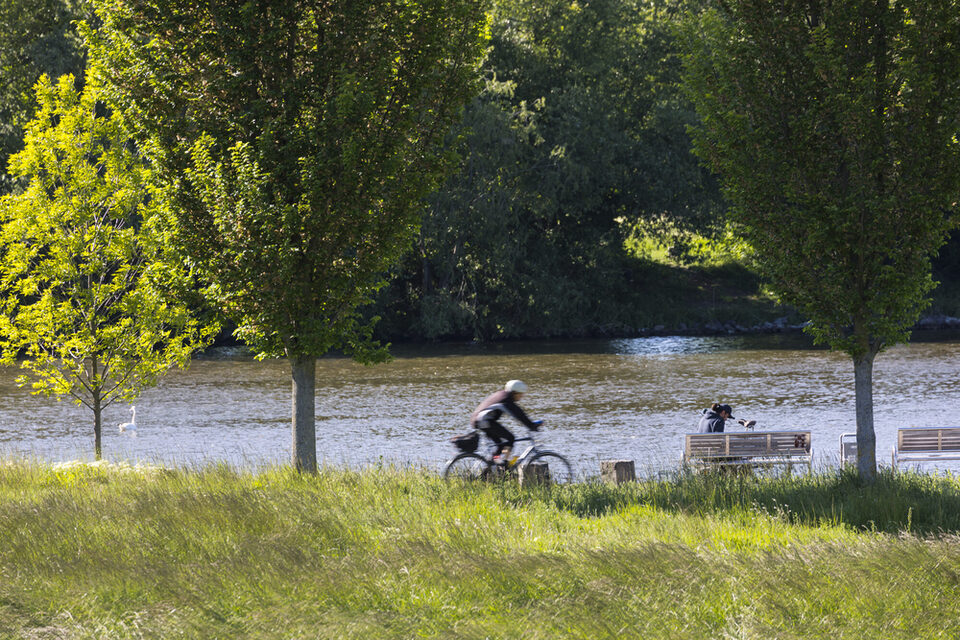 Radfahrer am Rüsselsheimer Mainufer