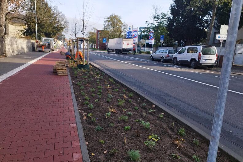 Neuer Grünstreifen an der Frankfurter Straße
