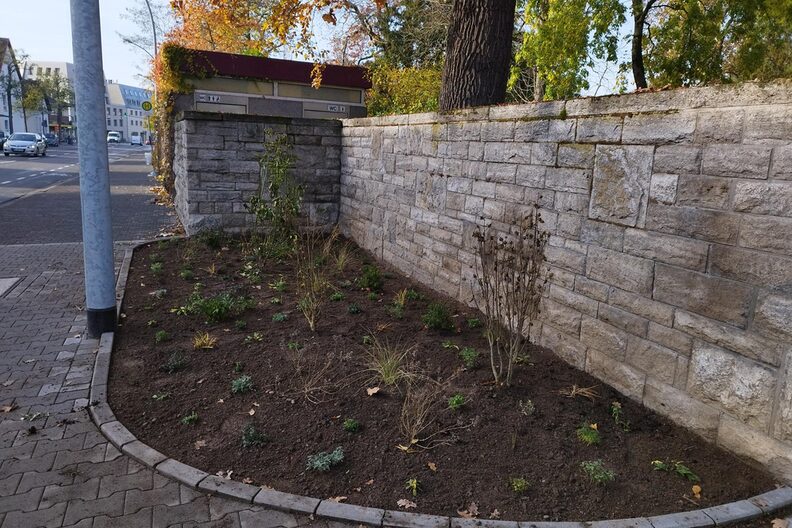Pflanzbeet vor dem Stadtpark