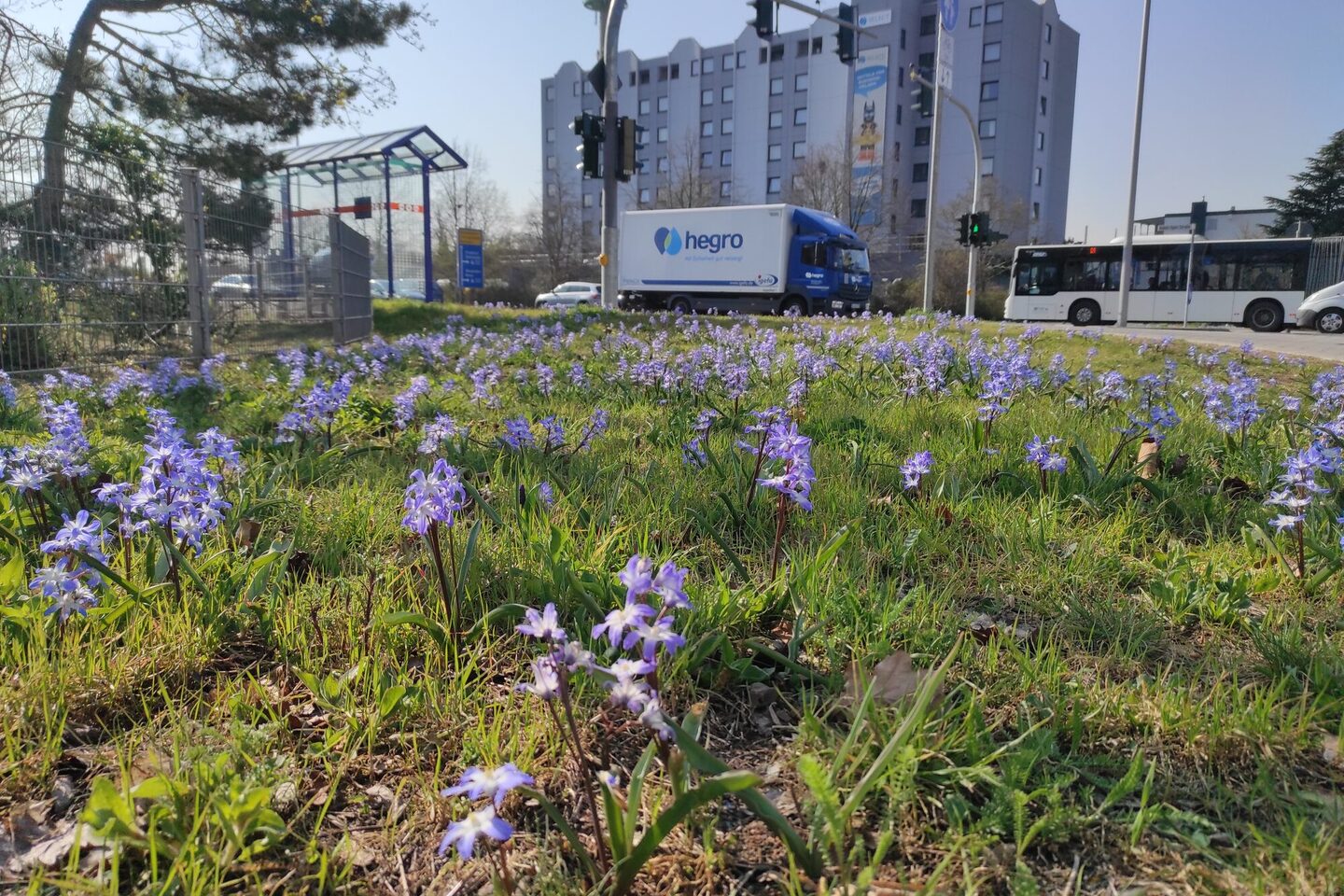 Bepflanzung an der Adam-Opel-Straße