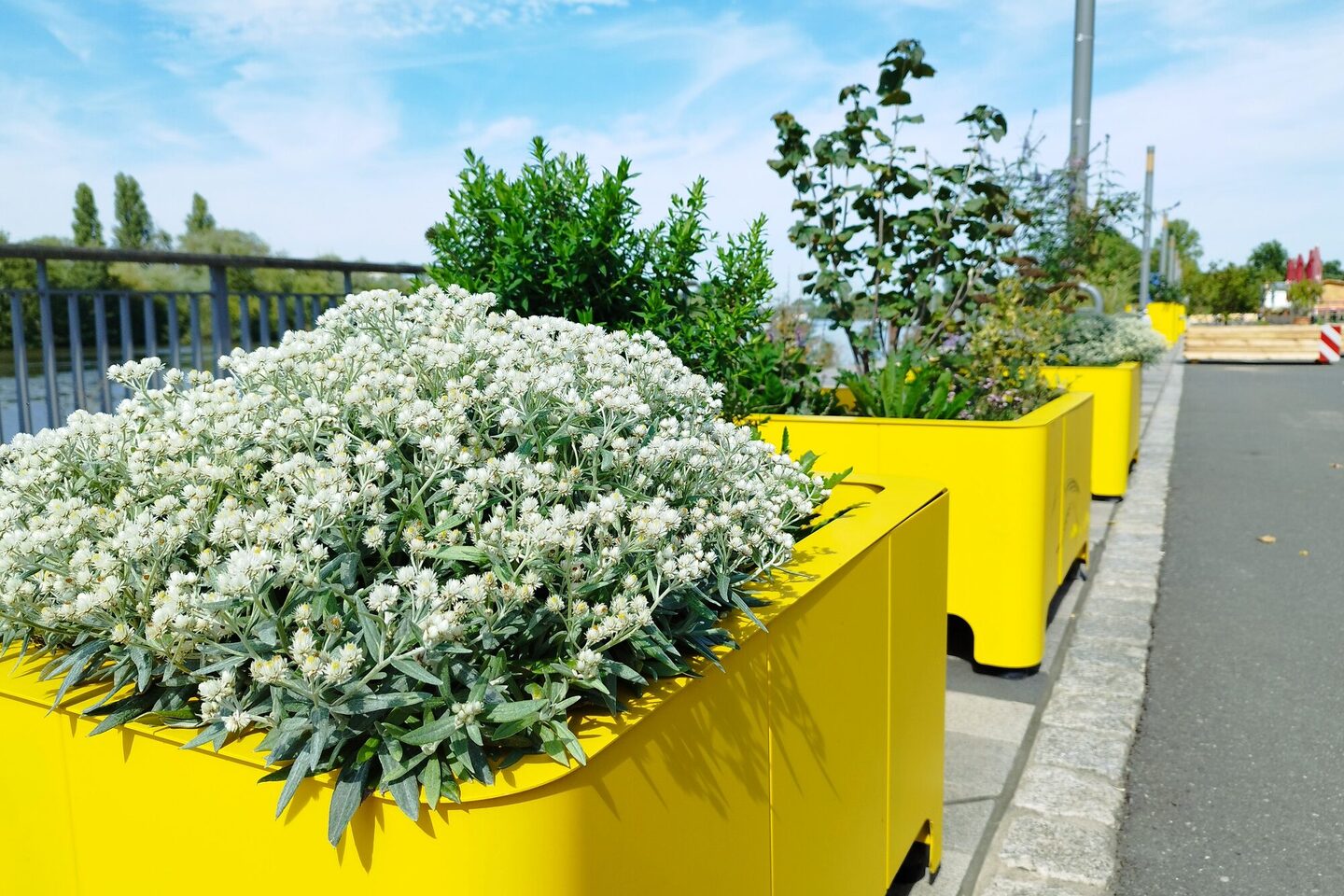 Bepflanzte Blumenkübel am Mainvorland