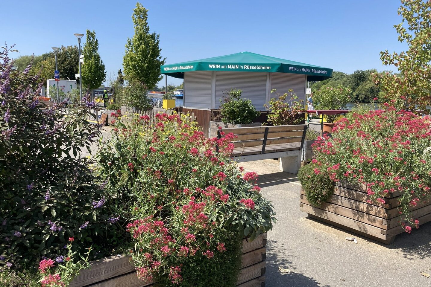 Kübelimpressionen am Mainvorland