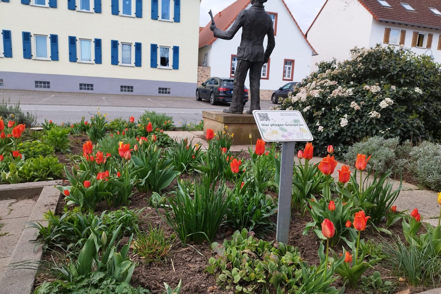 Pflanzbeet mit Frühlingsblumen an der Brunnenstraße in Bauschheim, im Hintergrund das Denkmal Schellenmann