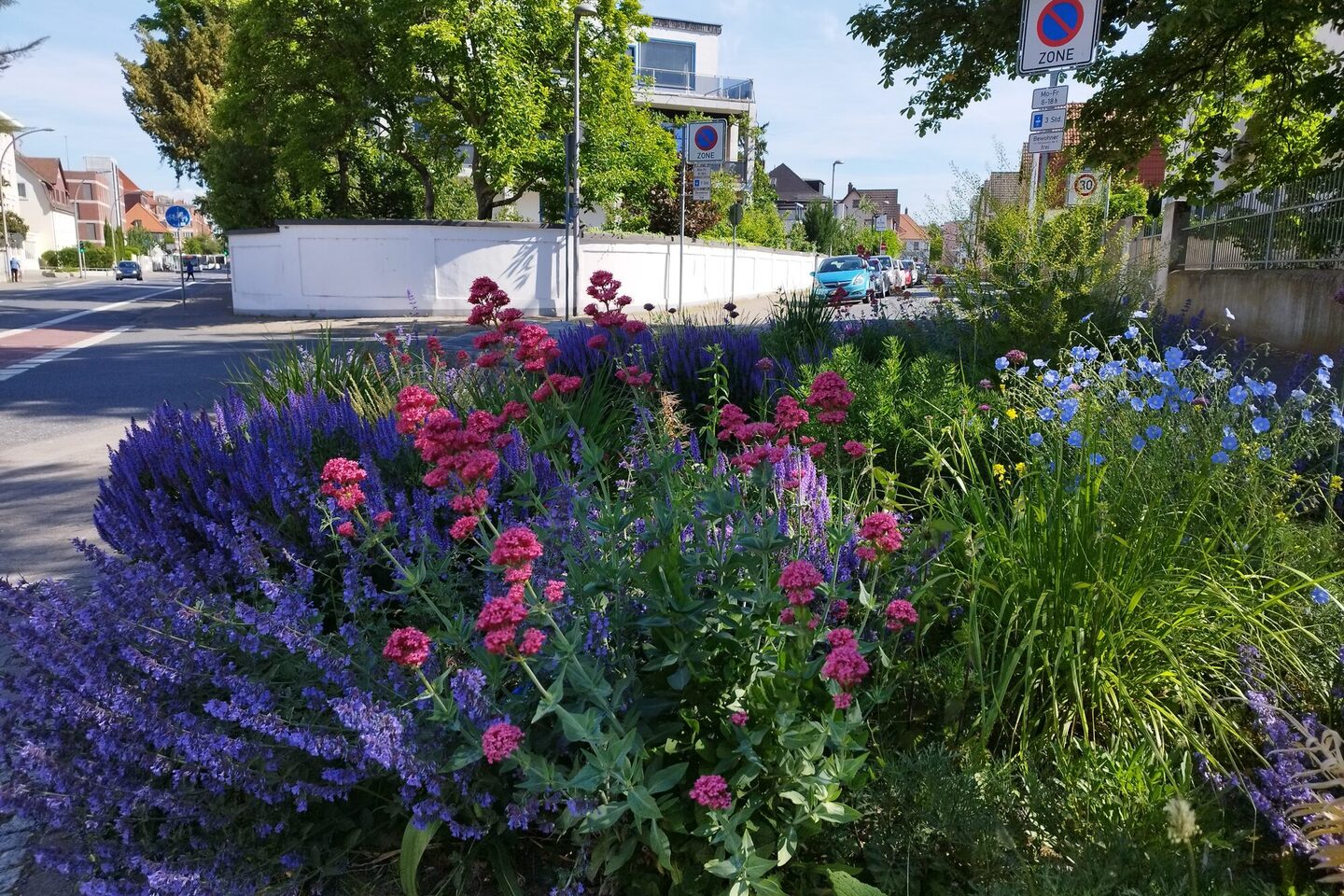 Begrünung an der Darmstädter Straße, Ecke Neckarstraße