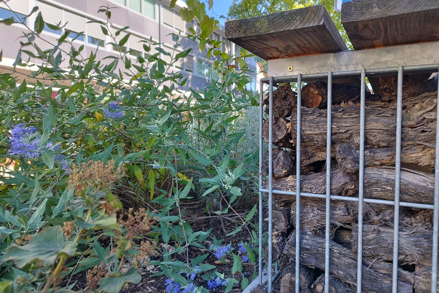 Einkaufszentrum Königstädten