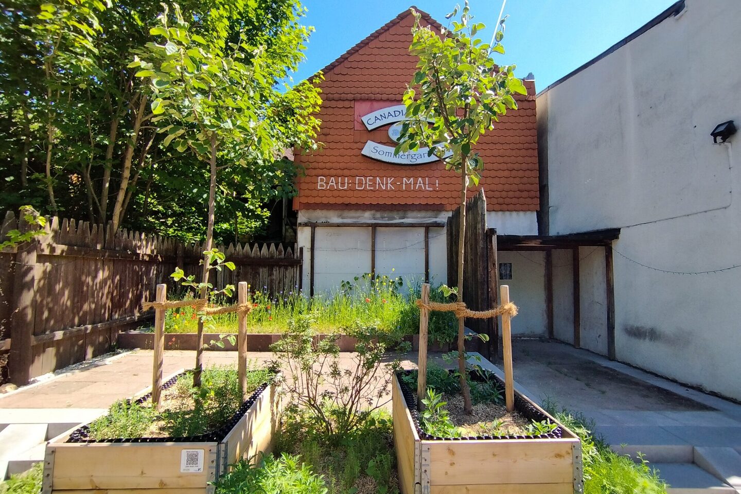 Neu gepflanzte Bäume am Baudenkmal Canadian Club in der Mainstraße