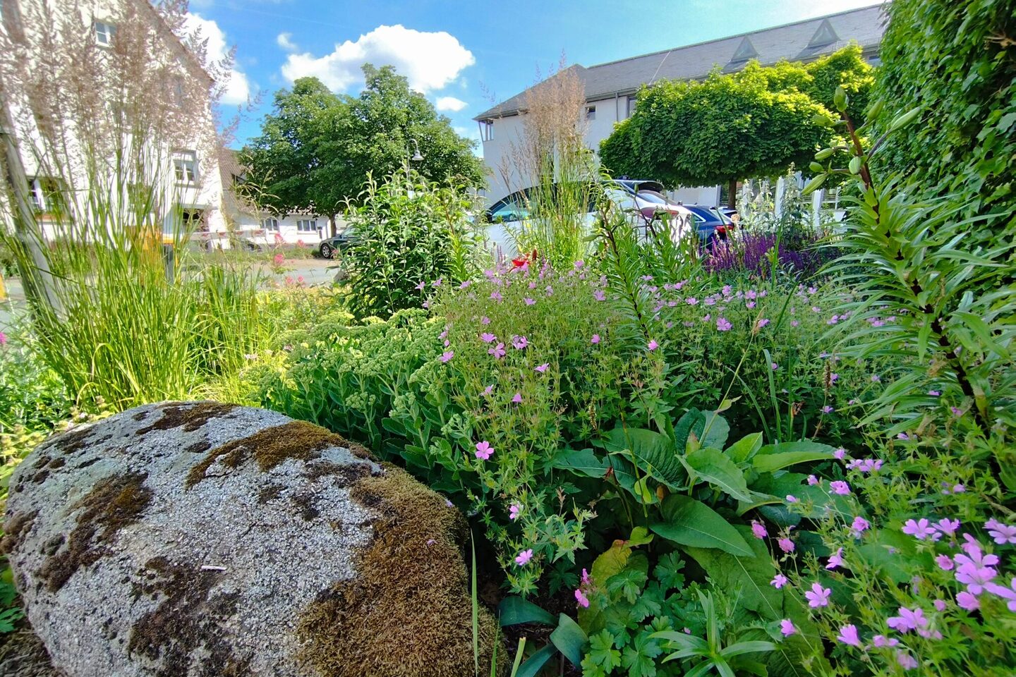Bepflanzung am Rathaus zur Erhöhung der Biodiversität