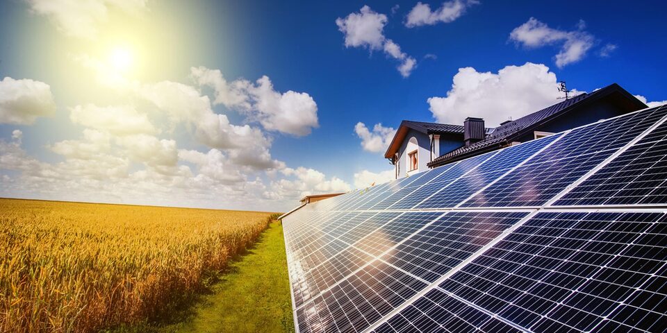 Solarkraftwerk mit Paneelen in der Nähe eines Weizenfeldes mit Sonnenstrahlen