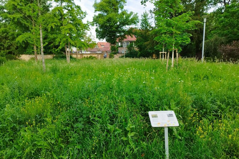 Hinweisschild im Verna-Park