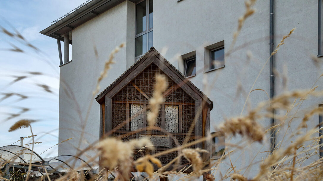 Insektenhotel am Rathaus