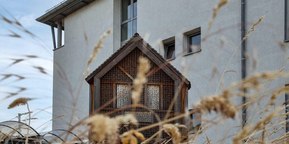 Insektenhotel am Rathaus