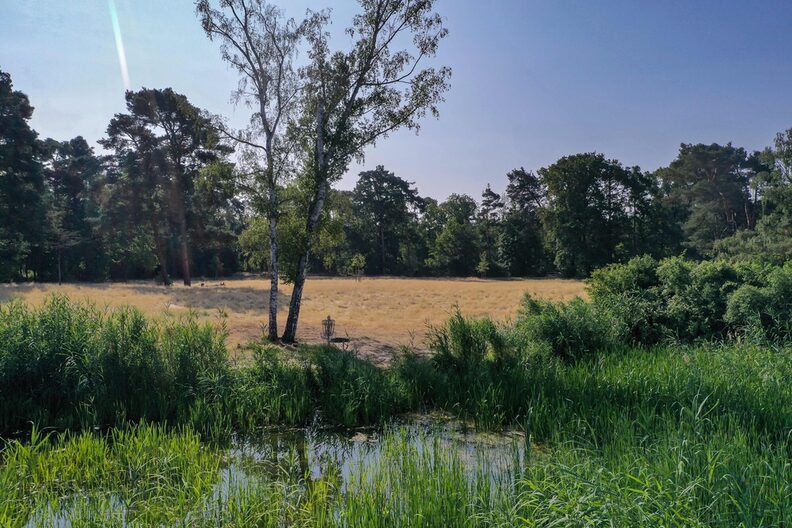Weier im Ostpark mit Blick auf die große Wiese