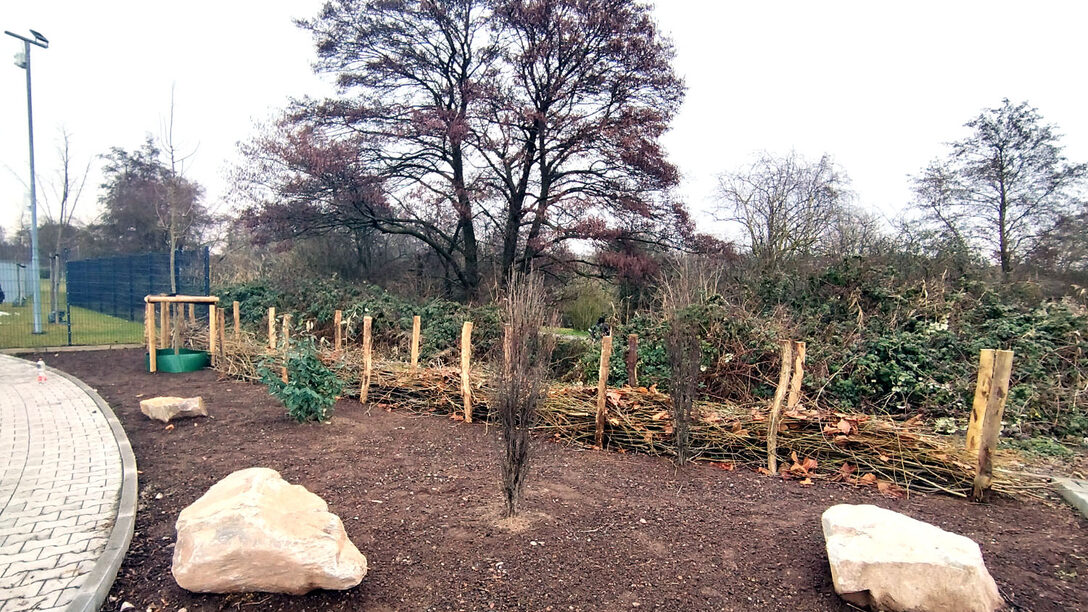 Bepflanzung Endausbau Lise-Meitner-Straße Königstädten