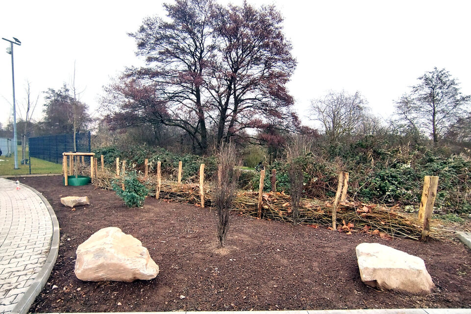 Bepflanzung Endausbau Lise-Meitner-Straße Königstädten