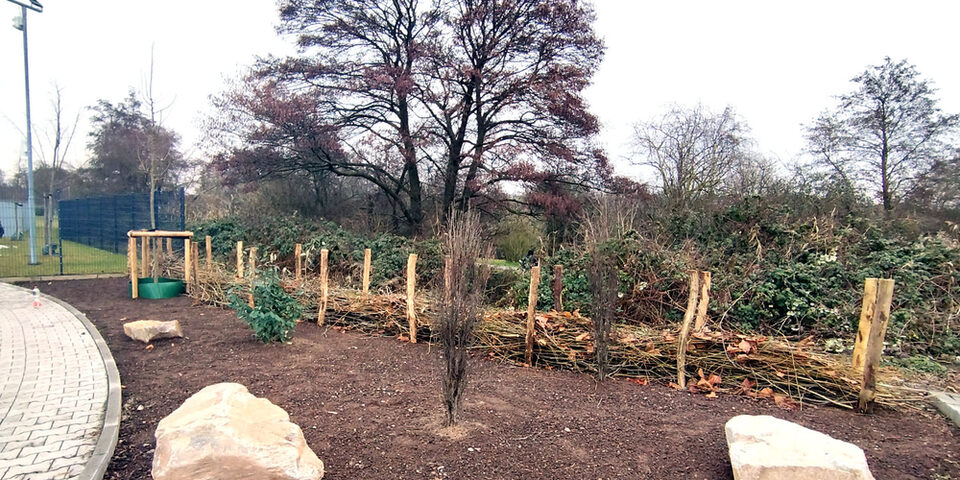 Bepflanzung Endausbau Lise-Meitner-Straße Königstädten