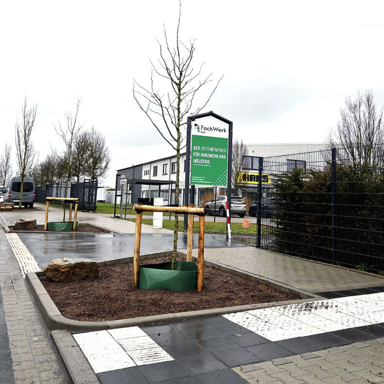 Bepflanzung Endausbau Lise-Meitner-Straße Königstädten