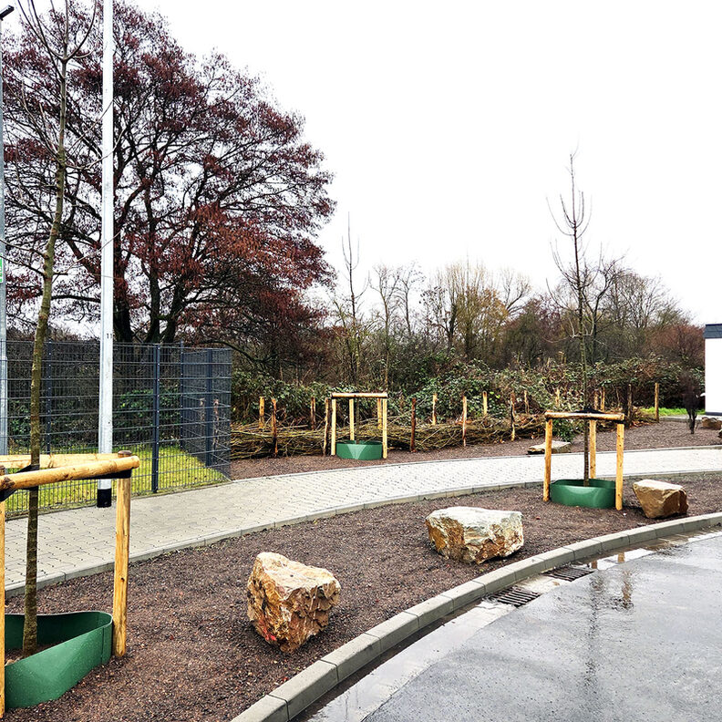 Bepflanzung Endausbau Lise-Meitner-Straße Königstädten