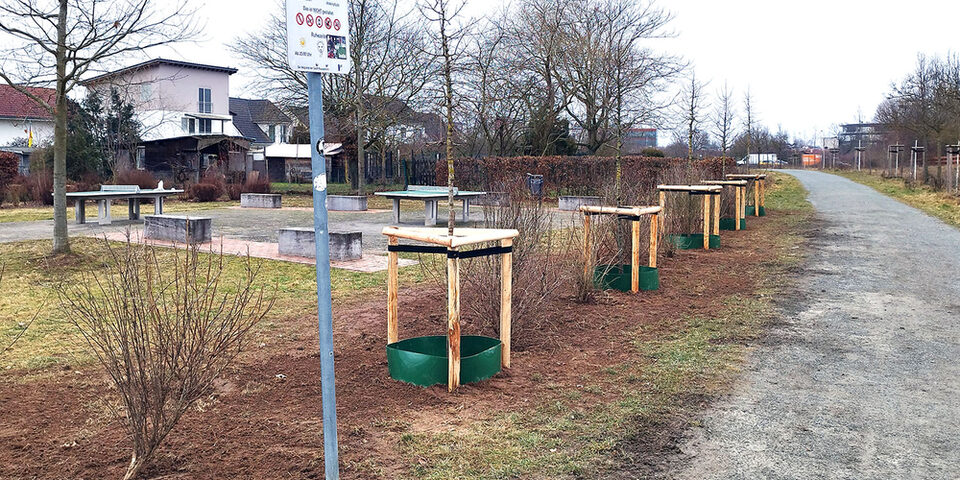 Blütenhecke mit Klimabäumen in Königstädten