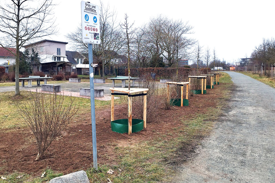 Blütenhecke mit Klimabäumen in Königstädten