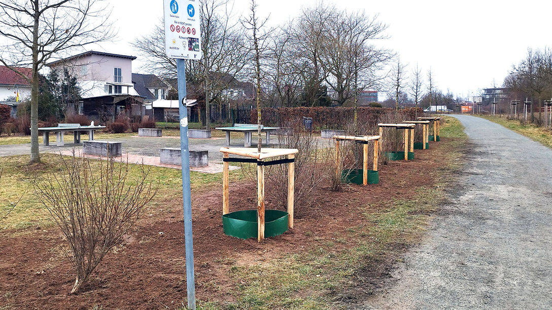 Blütenhecke mit Klimabäumen in Königstädten