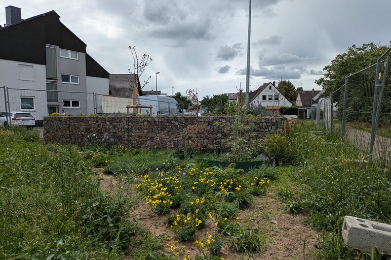 Staudendreieck