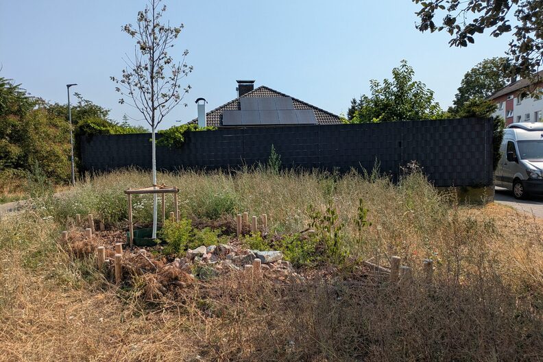 Wiese, im Vordergrund ein neu gepflanzter Baum und ein Steinhaufen